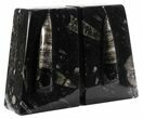 Polished Orthoceras Bookends - Morocco #61335-1